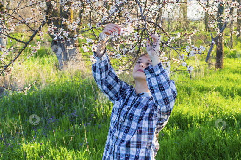 Скачать Настоящая естественная девушка смотрит на белые цветы на ветвях абрикоса в весеннем саду на фоне зеленой травы, освещенной солнцем фотосток Ozero
