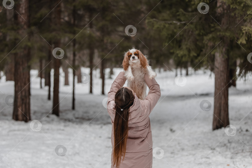 Скачать Симпатичная женщина играет с собакой в зимнем парке, лесу фотосток Ozero