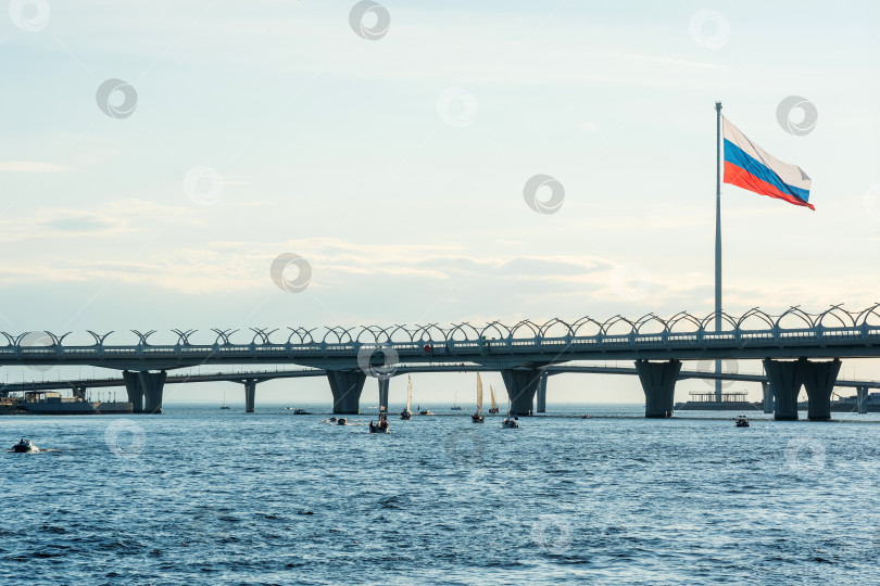 Скачать автомобильные мосты пересекают устье Невы в месте ее впадения в Балтийское море в Санкт-Петербурге фотосток Ozero