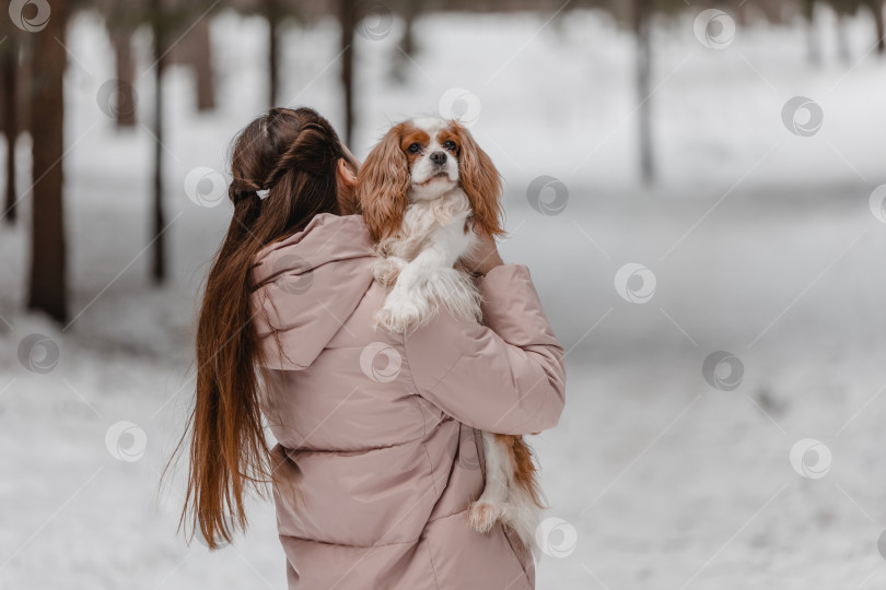 Скачать Симпатичная женщина играет с собакой в зимнем парке, лесу фотосток Ozero