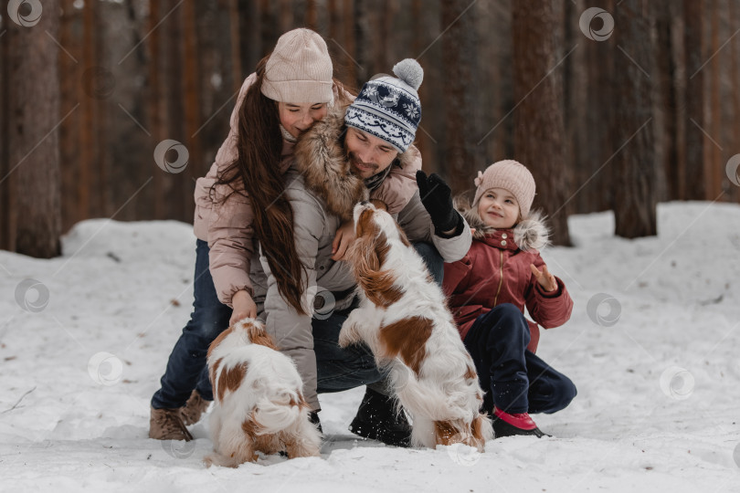 Скачать Папа с дочерьми и собаками гуляют и играют в зимнем лесу, семейное времяпрепровождение фотосток Ozero