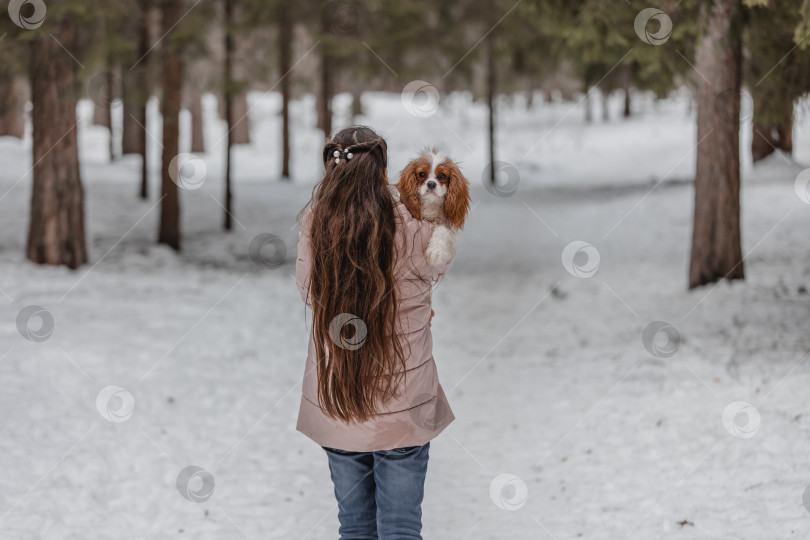 Скачать Милая девушка играет с собакой в зимнем парке, лесу фотосток Ozero