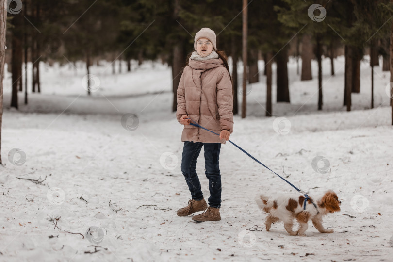 Скачать Милая девушка играет с собакой в зимнем парке, лесу фотосток Ozero