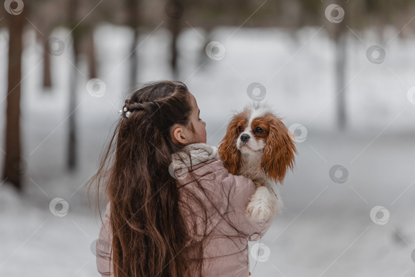 Скачать Милая девушка играет с собакой в зимнем парке, лесу фотосток Ozero