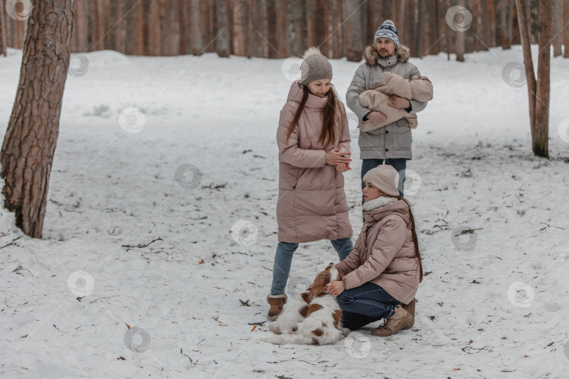 Скачать Счастливая молодая кавказская семья играет с собакой зимой в сосновом лесу фотосток Ozero