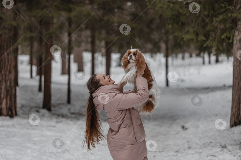 Скачать Симпатичная женщина играет с собакой в зимнем парке, лесу фотосток Ozero