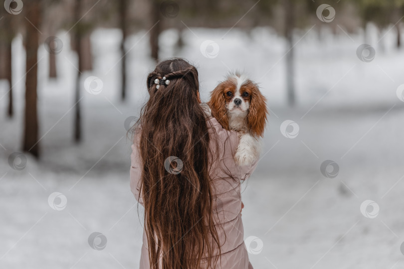 Скачать Милая девушка играет с собакой в зимнем парке, лесу фотосток Ozero