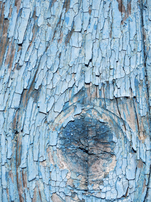 Скачать текстура дерева с сучками и трещинами на заднем плане. Старая деревянная доска, выкрашенная в синий цвет фотосток Ozero