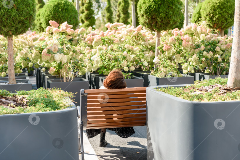 Скачать Россия, Санкт-Петербург, октябрь 2023 года: женщина отдыхает на скамейке в парке, вид сзади фотосток Ozero
