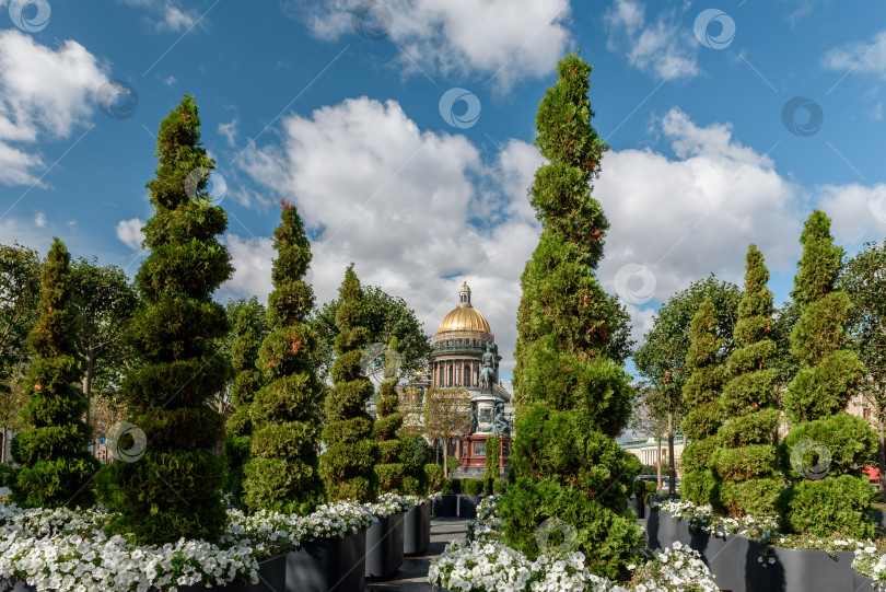 Скачать Россия, Санкт-Петербург, октябрь 2023 года: вид на Санкт-Петербург. Исаакиевский собор через зеленую площадь летом фотосток Ozero