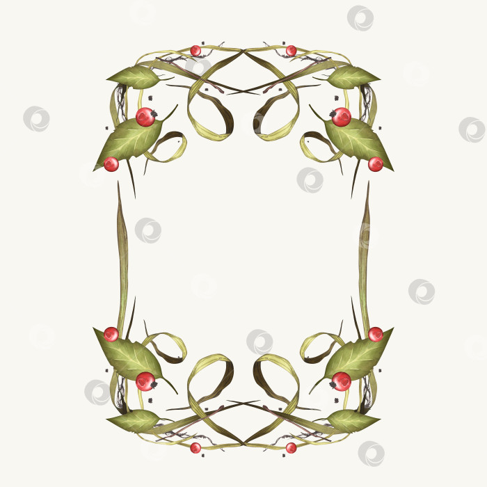 Скачать Каркас из сухой травы с листвой и лесными ягодами. Клюква с осенними травами. Акварельный шаблон для текста. Для оформления приглашений, баннера, текстиля, плаката фотосток Ozero