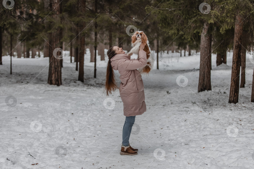 Скачать Симпатичная женщина играет с собакой в зимнем парке, лесу фотосток Ozero