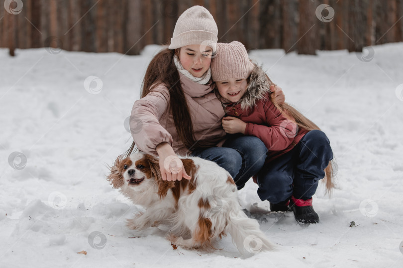 Скачать Две очаровательные молодые девушки весело проводят время вместе в красивом замерзшем парке, лесу. Милые сестрички играют в снегу с собакой фотосток Ozero