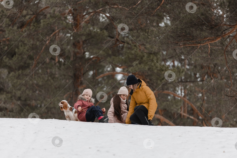 Скачать Три очаровательные молодые девушки весело проводят время вместе в красивом замерзшем парке, лесу. Милые сестрички играют в снегу с собакой фотосток Ozero