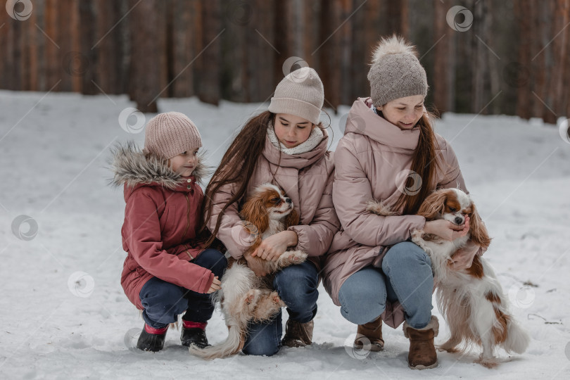 Скачать Счастливая молодая кавказская семья играет с собаками зимой в сосновом лесу фотосток Ozero