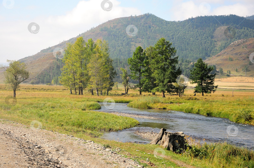 Скачать Узкая гравийная дорога вдоль берега небольшой реки в живописной долине с красивыми одинокими деревьями, окруженной горными хребтами. фотосток Ozero