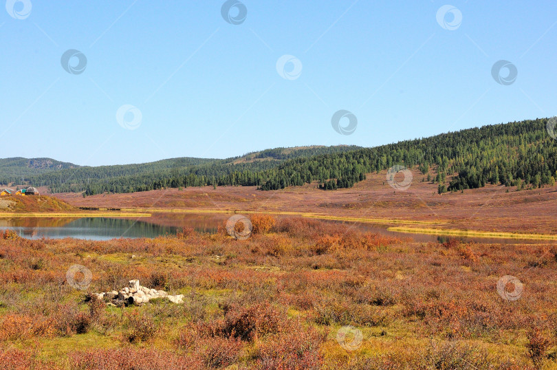 Скачать Большая поляна с пожелтевшей травой на склоне холма с хвойным лесом и красивым озером в низине. фотосток Ozero