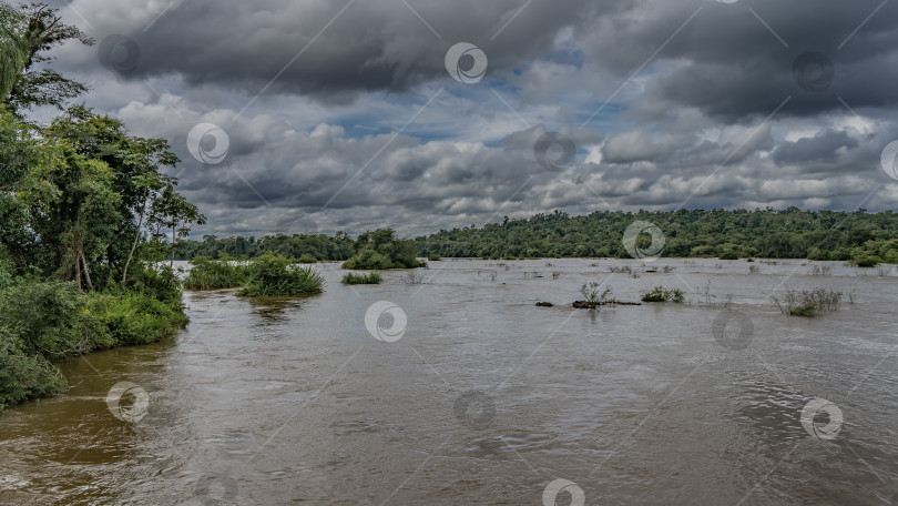 Скачать В русле реки видны островки зеленой тропической растительности. фотосток Ozero