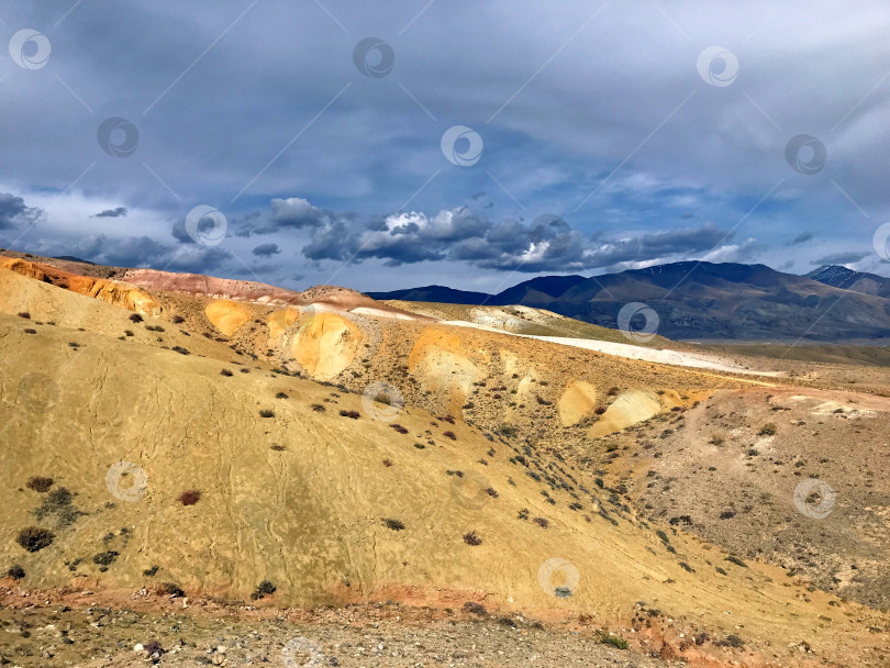 Скачать Урочище Кызыл-Чин фотосток Ozero