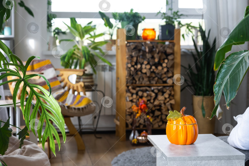 Скачать Яркий солнечный интерьер дома с дровами, креслом, большими растениями в горшках и осенним декором из тыкв для Хэллоуина и осеннего настроения. фотосток Ozero