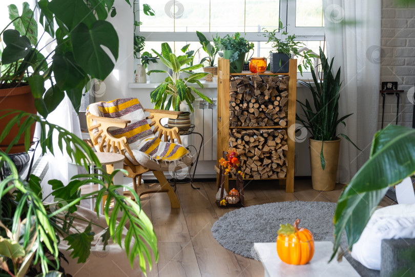 Скачать Яркий солнечный интерьер дома с дровами, креслом, большими растениями в горшках и осенним декором из тыкв для Хэллоуина и осеннего настроения. фотосток Ozero