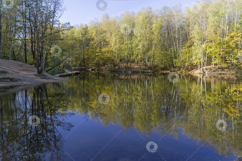 Скачать Красивое зеркальное отражение прибрежного осеннего леса в пруду. фотосток Ozero