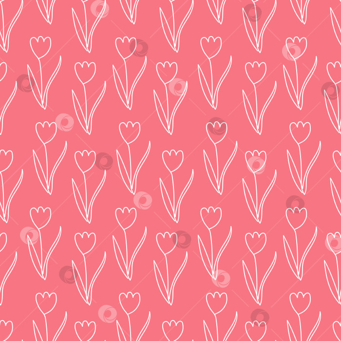 Скачать Розовый цветочный фон - тюльпаны белая непрерывная линия фотосток Ozero