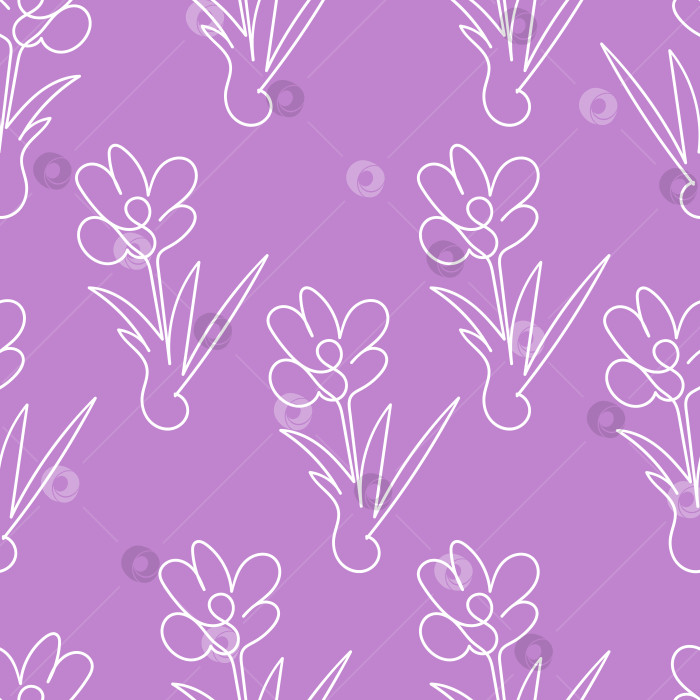 Скачать Фиолетовый цветочный фон - крокусы белая непрерывная линия фотосток Ozero