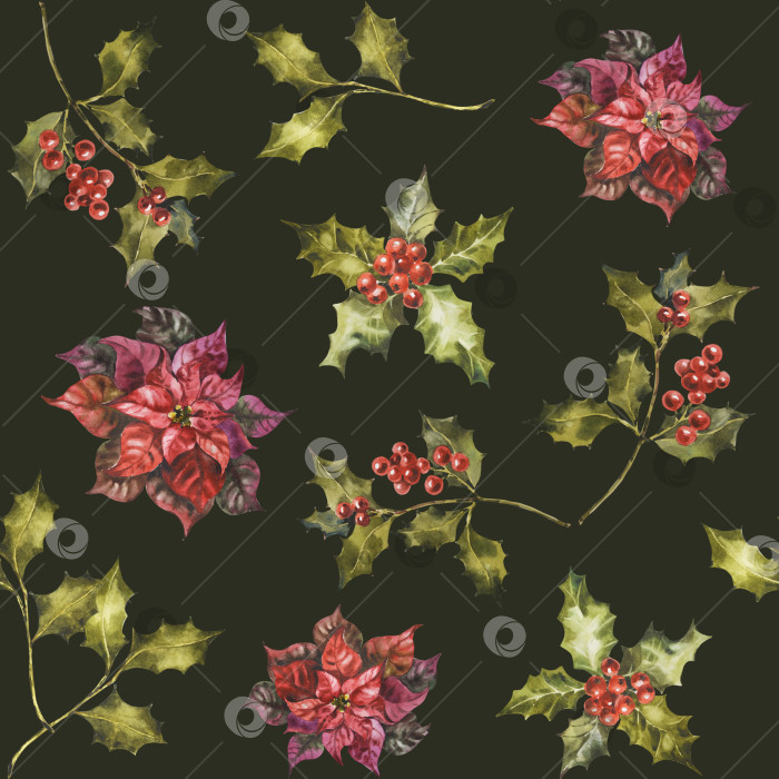 Скачать Акварельный рождественский бесшовный узор с веточками пуансеттии, остролиста и омелы с ягодами. Праздничные цветы ручной росписи, выделенные на темно-зеленом фоне для дизайна, принта, ткани или фона. фотосток Ozero