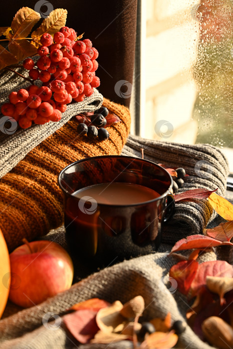 Скачать Осенний натюрморт с чашкой кофе, осенними листьями, тыквой. фотосток Ozero