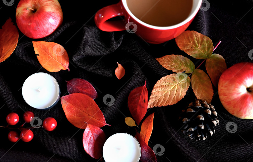 Скачать Осенний натюрморт с чашкой кофе, свечами и бордовыми листьями фотосток Ozero