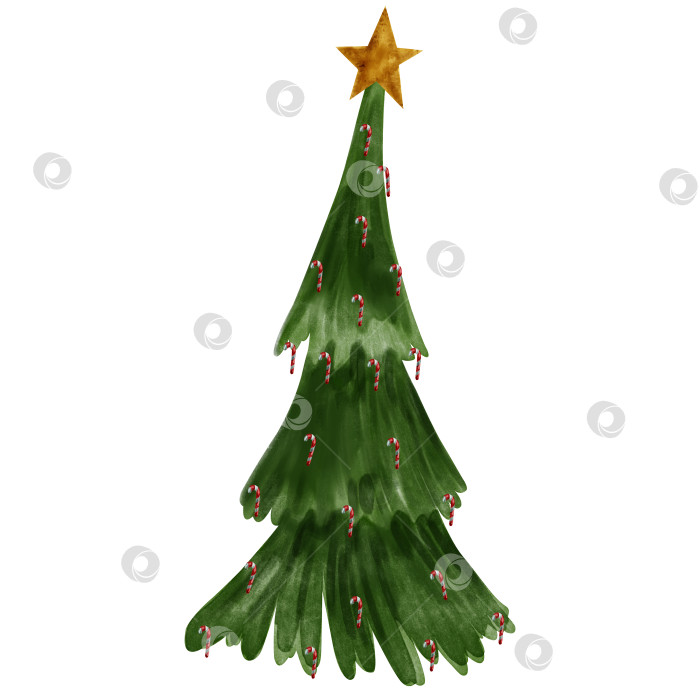 Скачать Акварельная иллюстрация рождественской елки с золотой звездой и рождественскими сладостями. Акварельная рисованная иллюстрация с рождественской елкой фотосток Ozero
