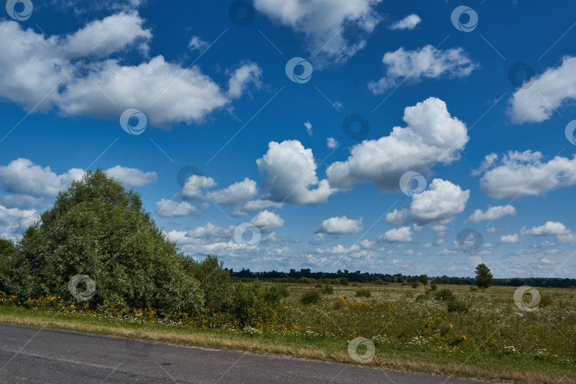 Скачать Прогулка по берегу реки Снежеть. Заливные луга в пойме реки фотосток Ozero