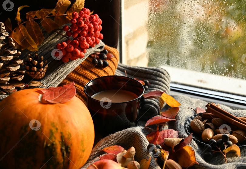 Скачать Осенний натюрморт с чашкой кофе, осенними листьями, тыквой. фотосток Ozero
