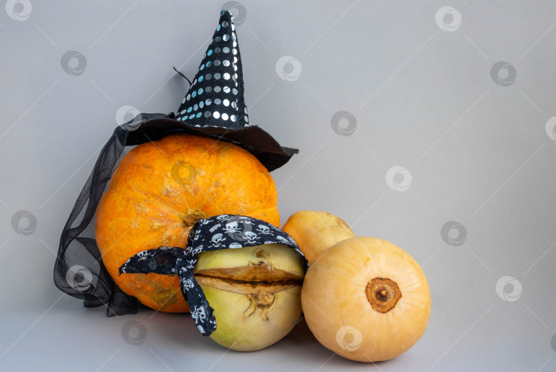 Скачать Концепция Хэллоуина. Оранжевая тыква в шляпе ведьмы, тыква и репа в пиратской бандане фотосток Ozero