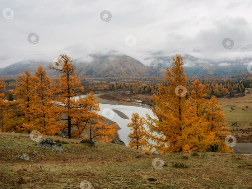 Скачать Чудесный туманный альпийский пейзаж с горной рекой в долине w фотосток Ozero