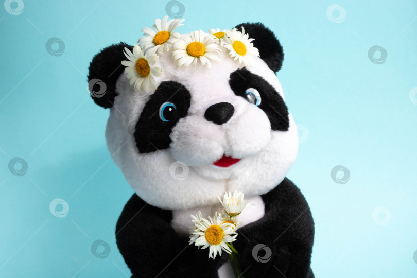 Скачать Мягкая игрушечная панда на голубом фоне с маргаритками на голове.Концепция окружающей среды фотосток Ozero