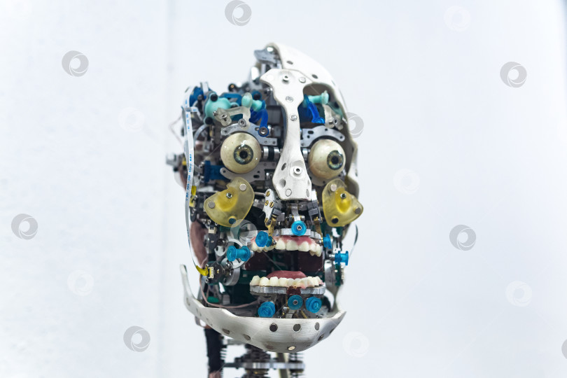 Скачать голова антропоморфного робота, способного имитировать эмоции, без внешней оболочки-кожи, на белом фоне фотосток Ozero