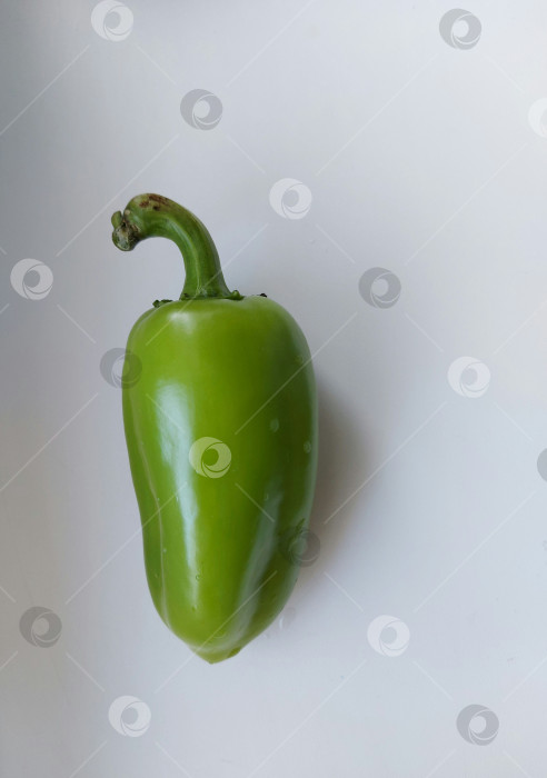 Скачать Болгарский перец зелёного цвета фотосток Ozero