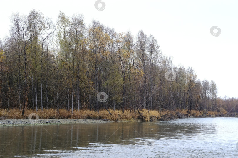 Скачать Поздняя осень на реке. фотосток Ozero