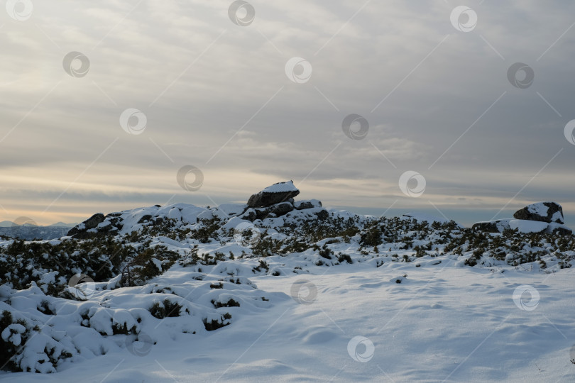 Скачать Камни фотосток Ozero