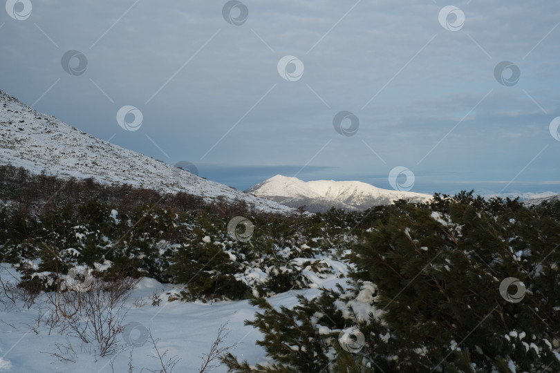 Скачать Первый снег на сопках. фотосток Ozero