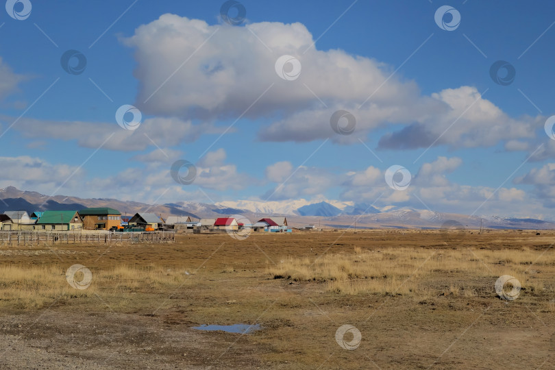 Скачать Алтайское село в степи. Аутентичная деревня, дома в поле. Кош-Агачский район, Алтай, Россия фотосток Ozero