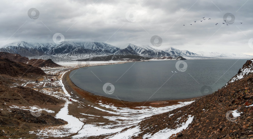 Скачать Панорамный вид на большое озеро Толбо Нур пасмурным утром. Монгольские природные ландшафты близ озера Толбо-Нуур, окруженного горами и скалами в северной Монголии. Миграция птиц над озером. фотосток Ozero