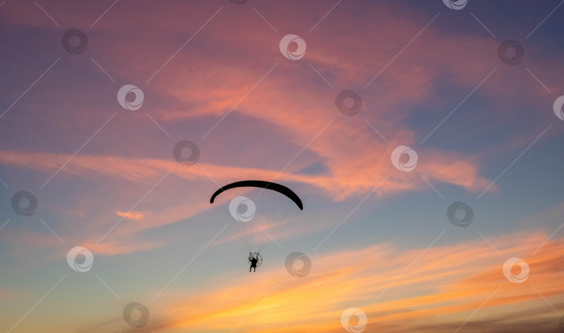 Скачать Силуэт параплана в вечернем небе с розовыми облаками фотосток Ozero