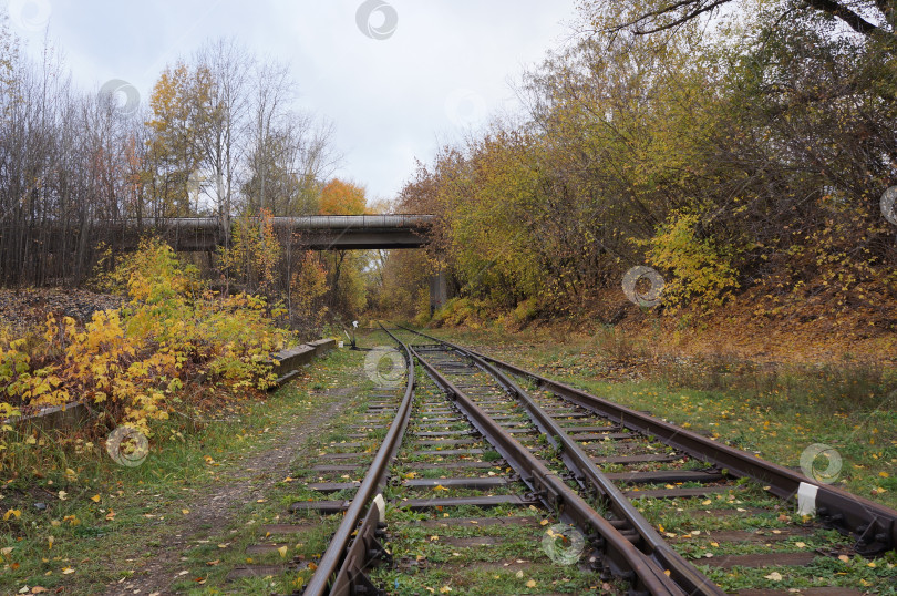 Скачать Железная дорога фотосток Ozero