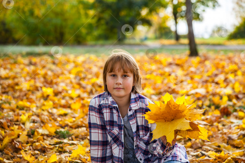 Скачать Девушка в осеннем парке с букетом желтых листьев фотосток Ozero