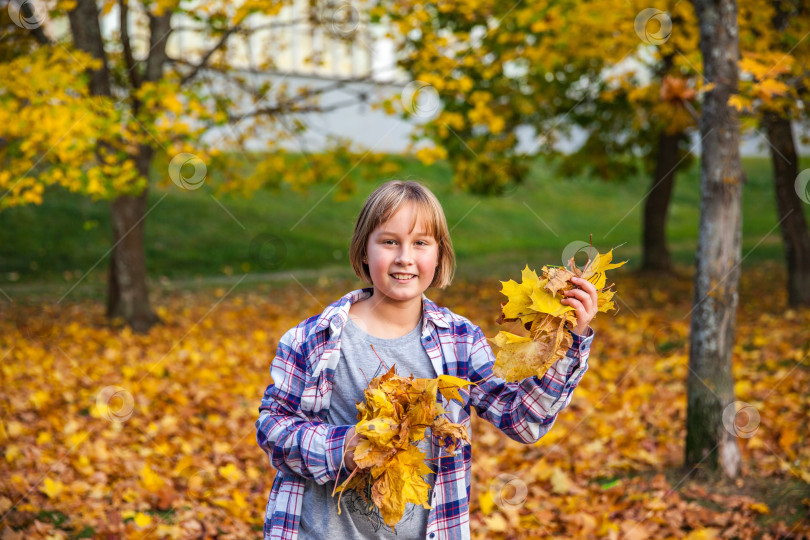 Скачать Девочка собирает желтые осенние листья на поле в парке фотосток Ozero