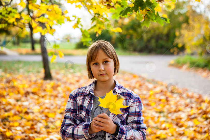 Скачать Девушка с желтым кленовым листом в осеннем парке фотосток Ozero