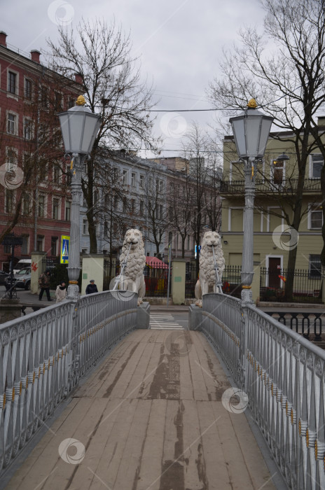 Скачать Львиный мост через канал Грибоедова в Санкт-Петербурге ранней весной фотосток Ozero